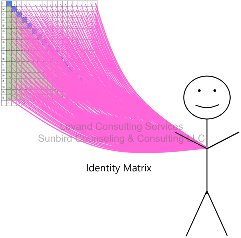 Identity Matrix | Mark Levand, Ph.D., CSE-S